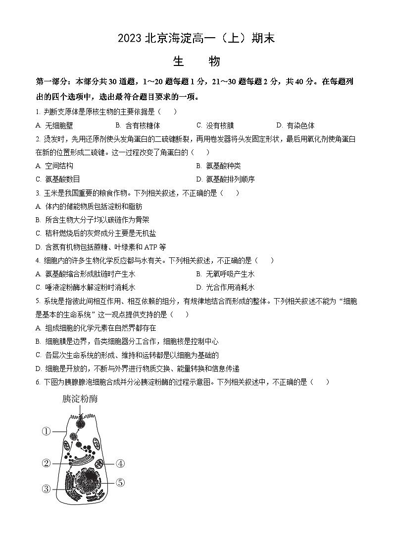 2023北京海淀高一（上）期末生物（教师版） 试卷01