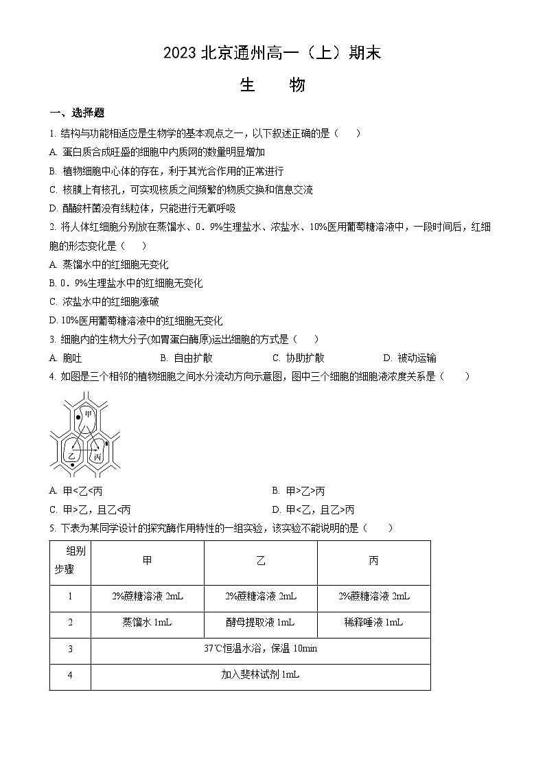2023北京通州高一（上）期末生物（教师版） 试卷01