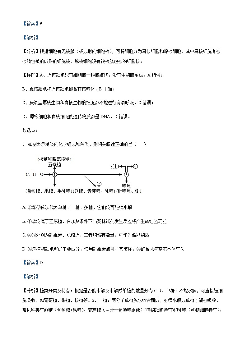 2022-2023学年浙江省宁波市效实中学等五校高二11月期中生物试题含解析02