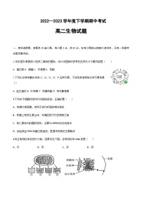 2022-2023学年黑龙江省齐齐哈尔市第八中学高二下学期期中生物含答案