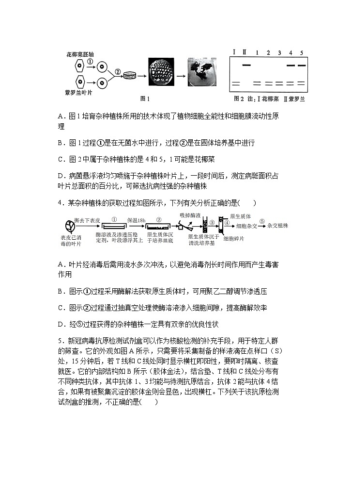 2022-2023学年江苏省扬州中学高二下学期5月月考试题生物含答案02