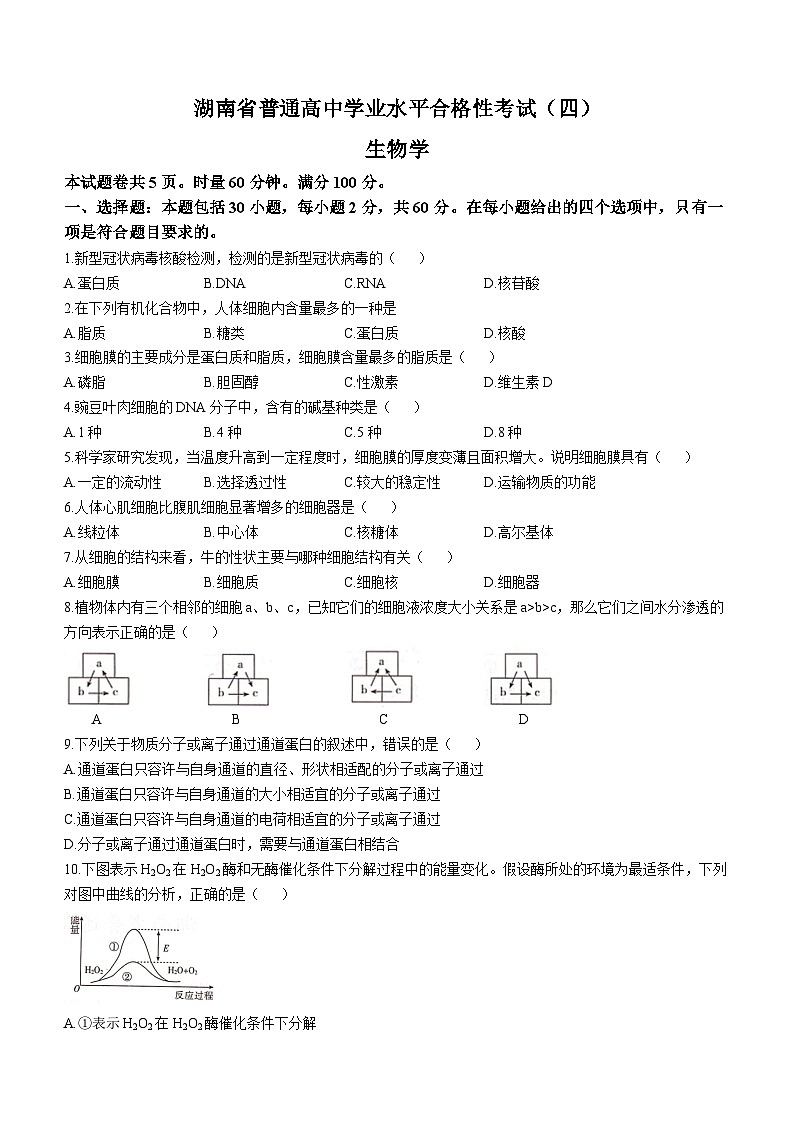 2023年湖南省普通高中学业水平合格性考试模拟卷（四）生物试题第1页