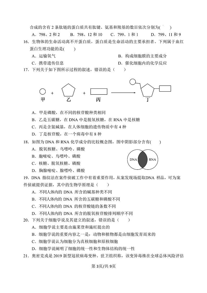 江苏省盐城市田家炳中学2022-2023学年高一上学期期中考试生物试题03