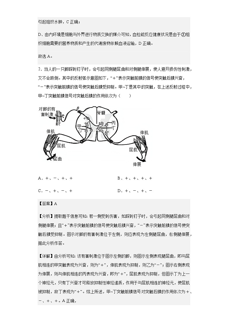 2022-2023学年山东省青岛市二中高二下学期期初考试生物试题含解析02