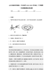 2022-2023学年山东省泰安市新泰一中东校区高二下学期第一次质量检测生物试题含解析