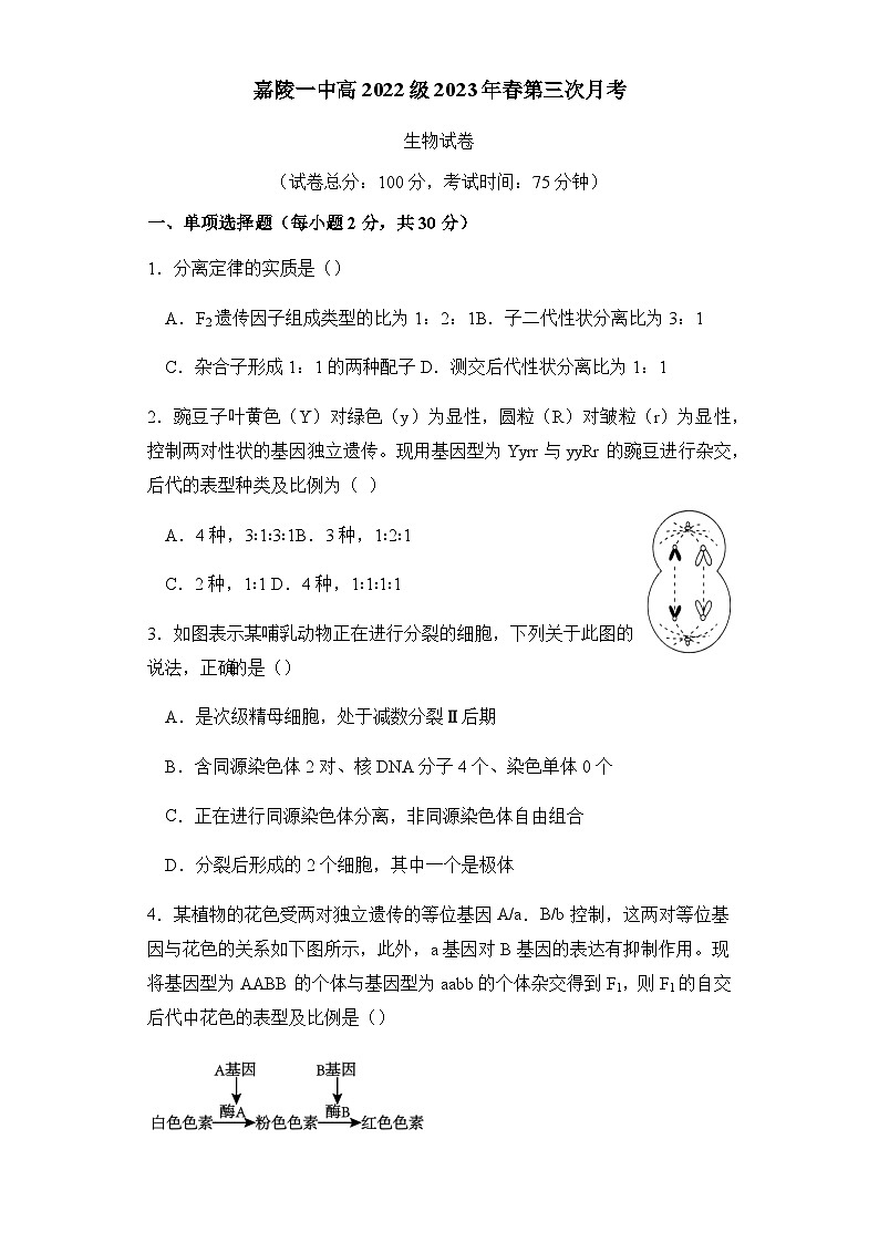 2022-2023学年四川省南充市嘉陵第一中学高一下学期第三次月考试题生物试卷含答案01