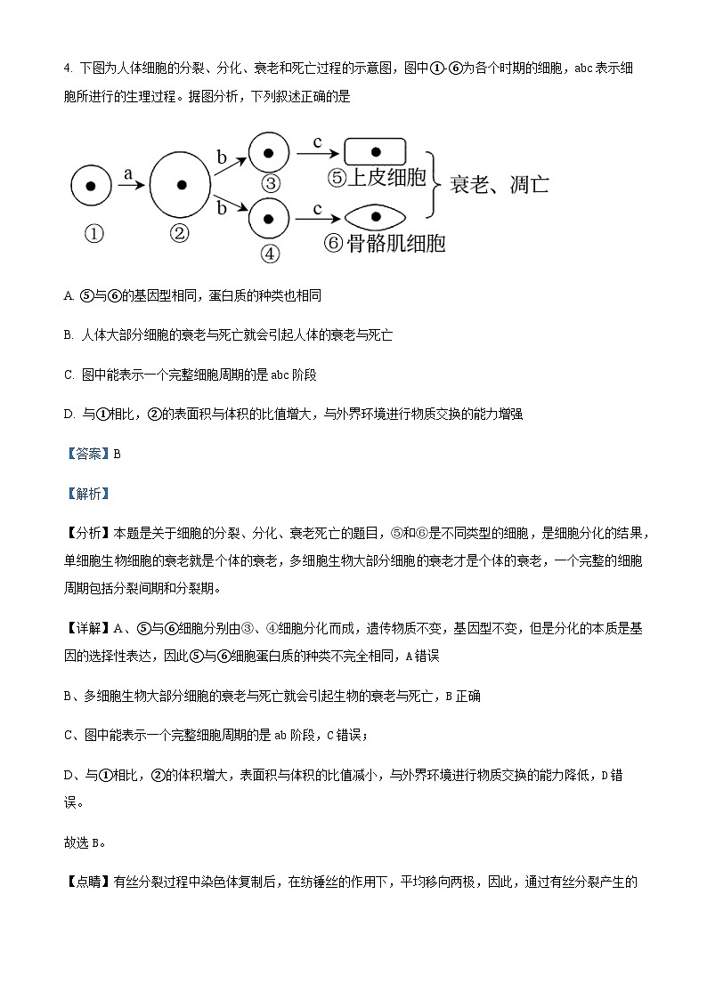 2021-2022学年四川省遂宁市射洪市中学高一下学期期中生物试题含解析第3页