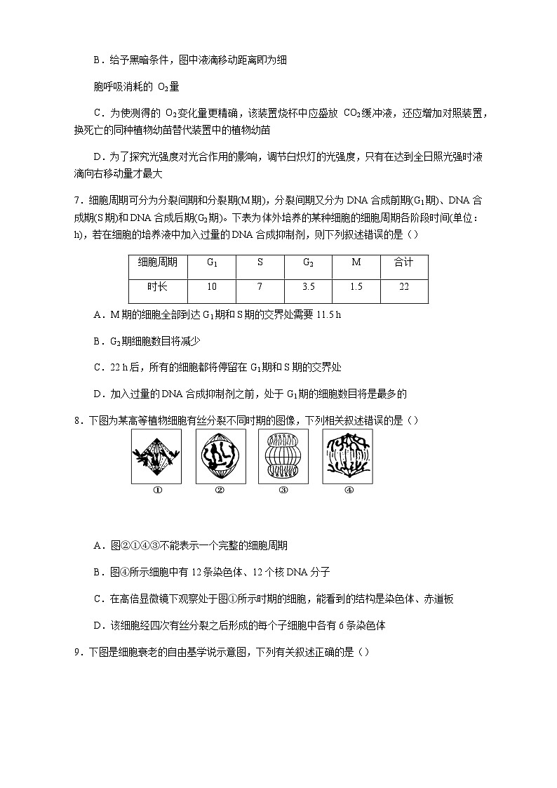 2022-2023学年安徽省池州市贵池区高一下学期期中考试生物试题含答案第3页