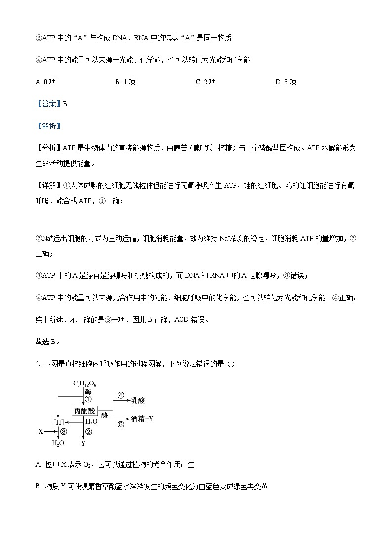 2022-2023学年安徽省池州市贵池区高一下学期期中生物试题Word版含解析第3页