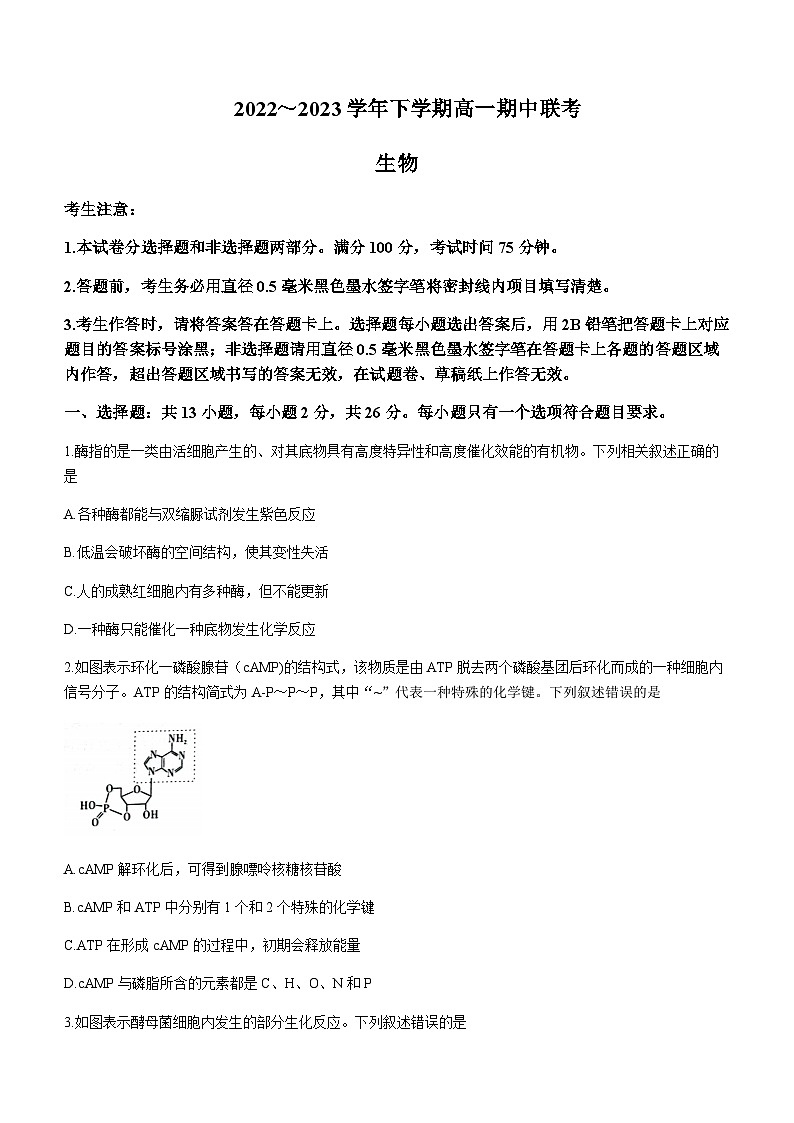2022-2023学年安徽省皖中名校高一下学期期中联考生物试题（有解析）01
