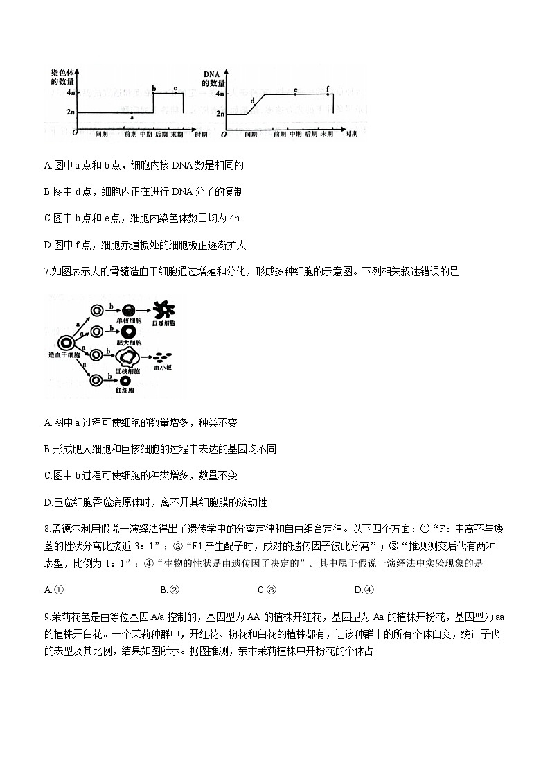 2022-2023学年安徽省皖中名校高一下学期期中联考生物试题（有解析）03