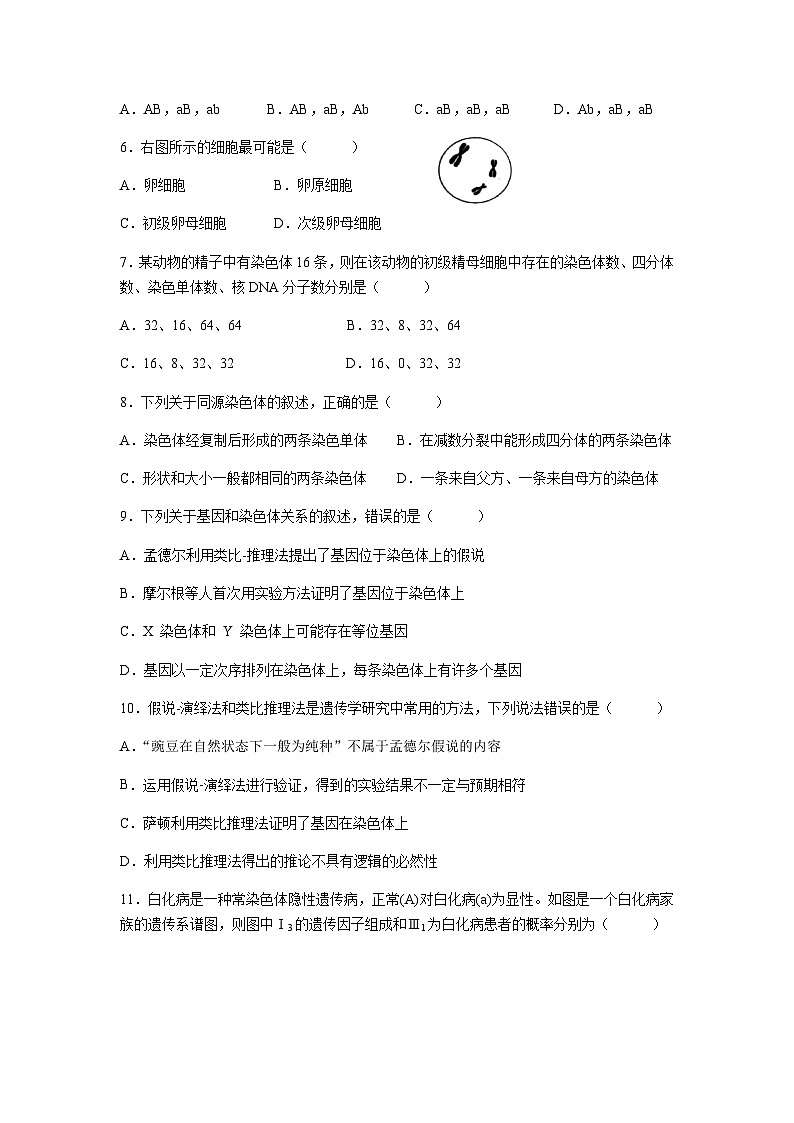 2022-2023学年广东省湛江市第二十一中学高一下学期期中考试（学考）生物试题含答案第2页
