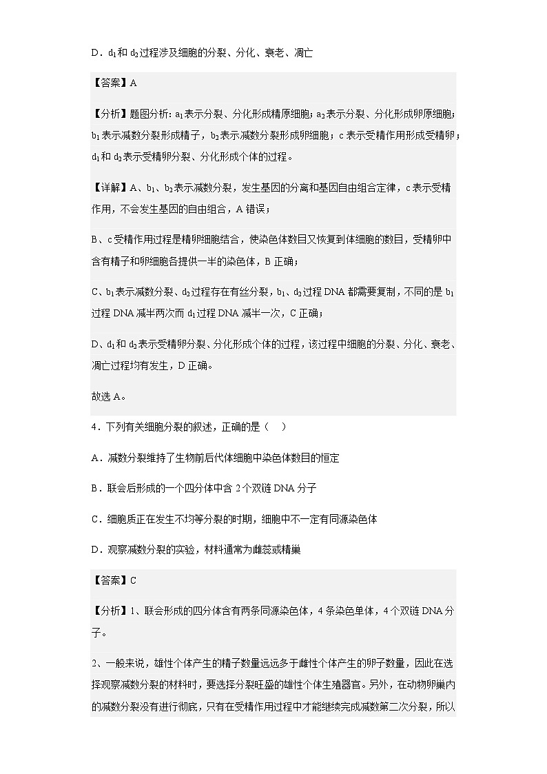 2022-2023学年吉林省长春汽开经济技术开发区三中高一下学期期中生物试题含解析第3页