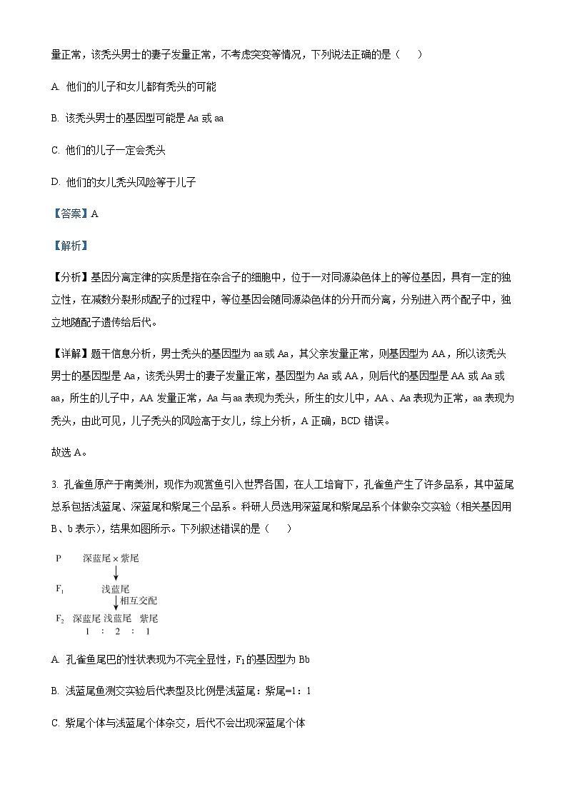 2022-2023学年山东省临沂市兰山区高一下学期期中生物试题含解析第2页
