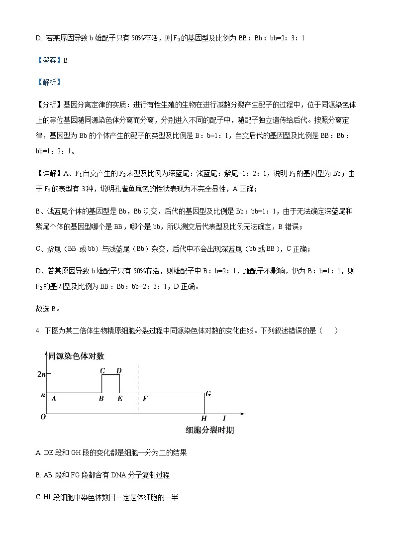 2022-2023学年山东省临沂市兰山区高一下学期期中生物试题含解析第3页