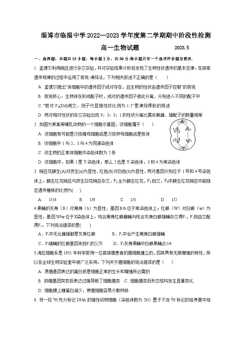 2022-2023学年山东省淄博市临淄中学高一下学期期中考试生物试题含答案01