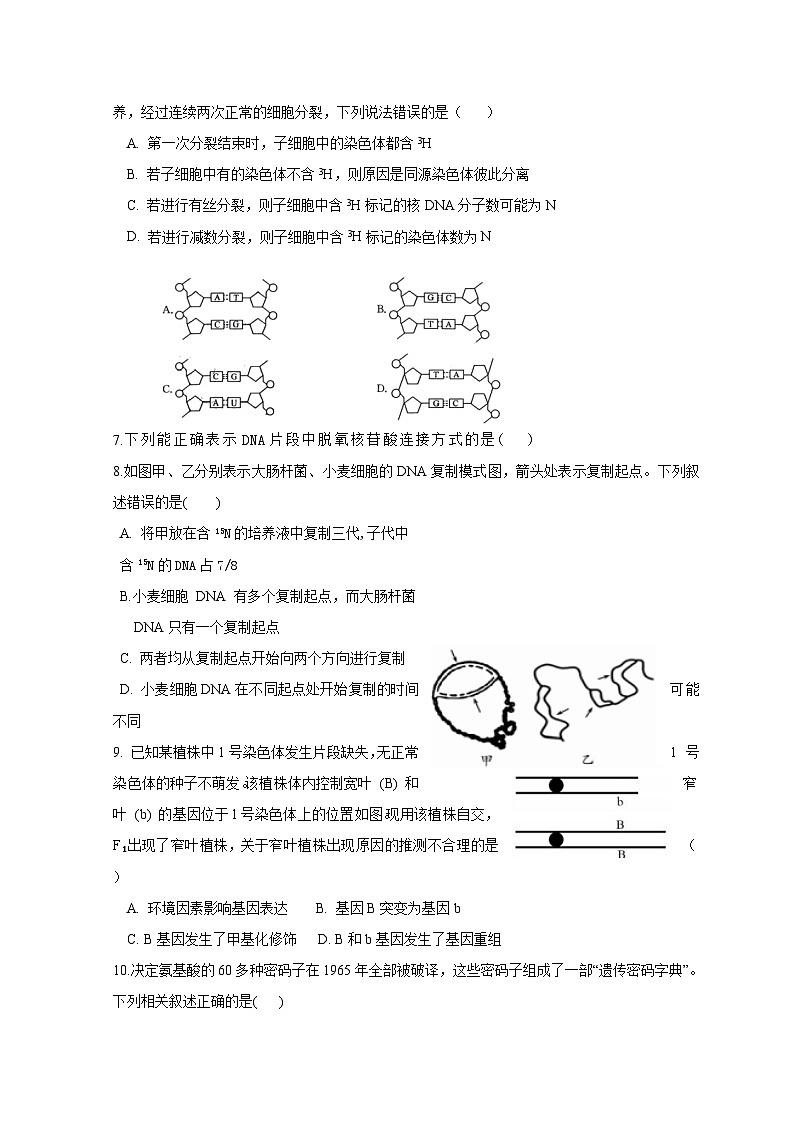 2022-2023学年山东省淄博市临淄中学高一下学期期中考试生物试题含答案02