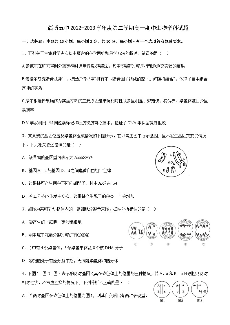 2022-2023学年山东省淄博市张店区高一下学期5月期中生物试题含答案01