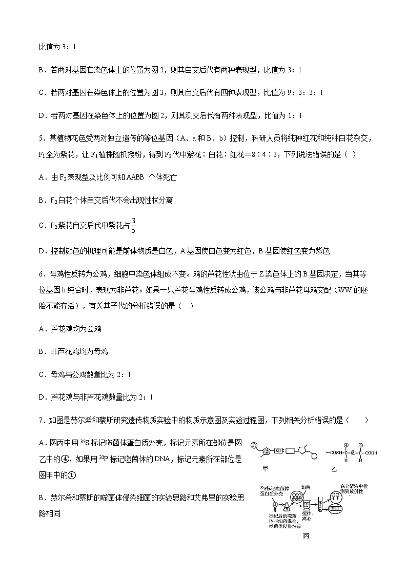 2022-2023学年山东省淄博市张店区高一下学期5月期中生物试题含答案02