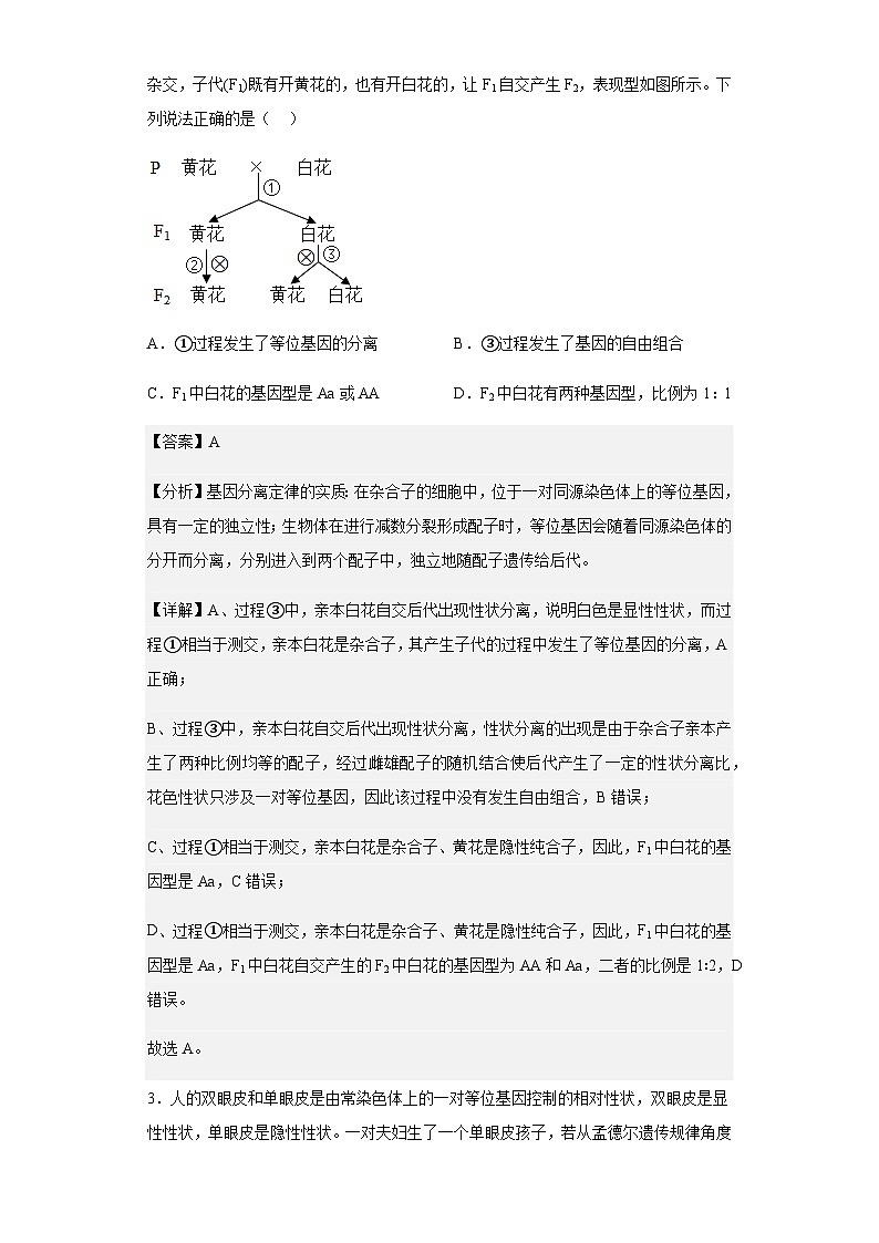 2022-2023学年山东省滕州市五中高一3月质量检测生物试题含解析02