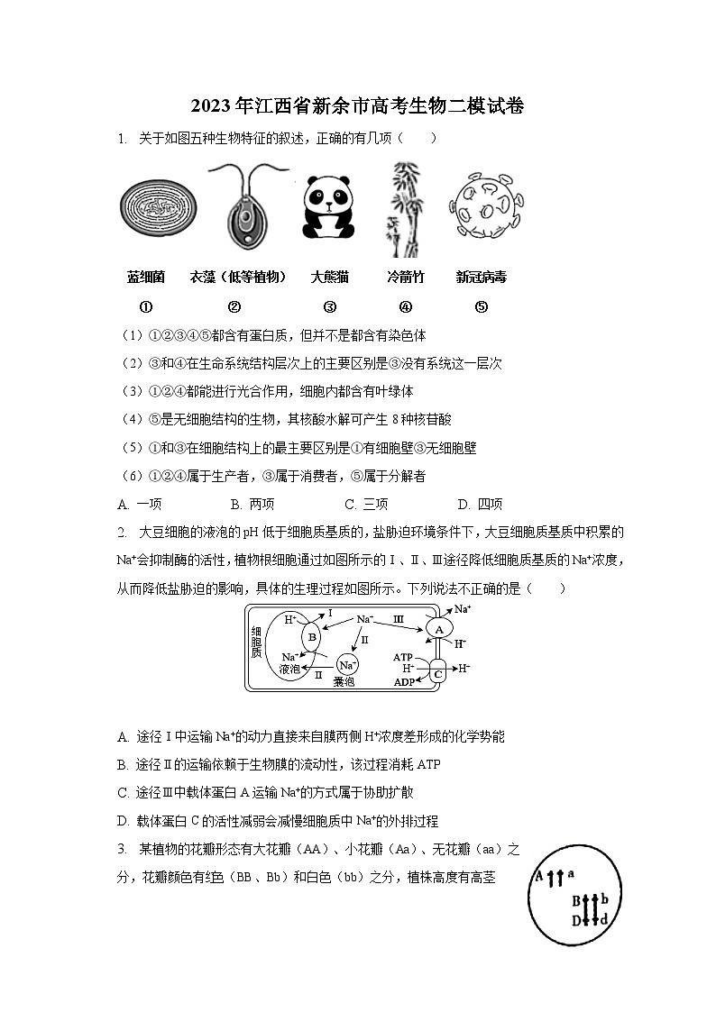 2023年江西省新余市高考生物二模试卷01