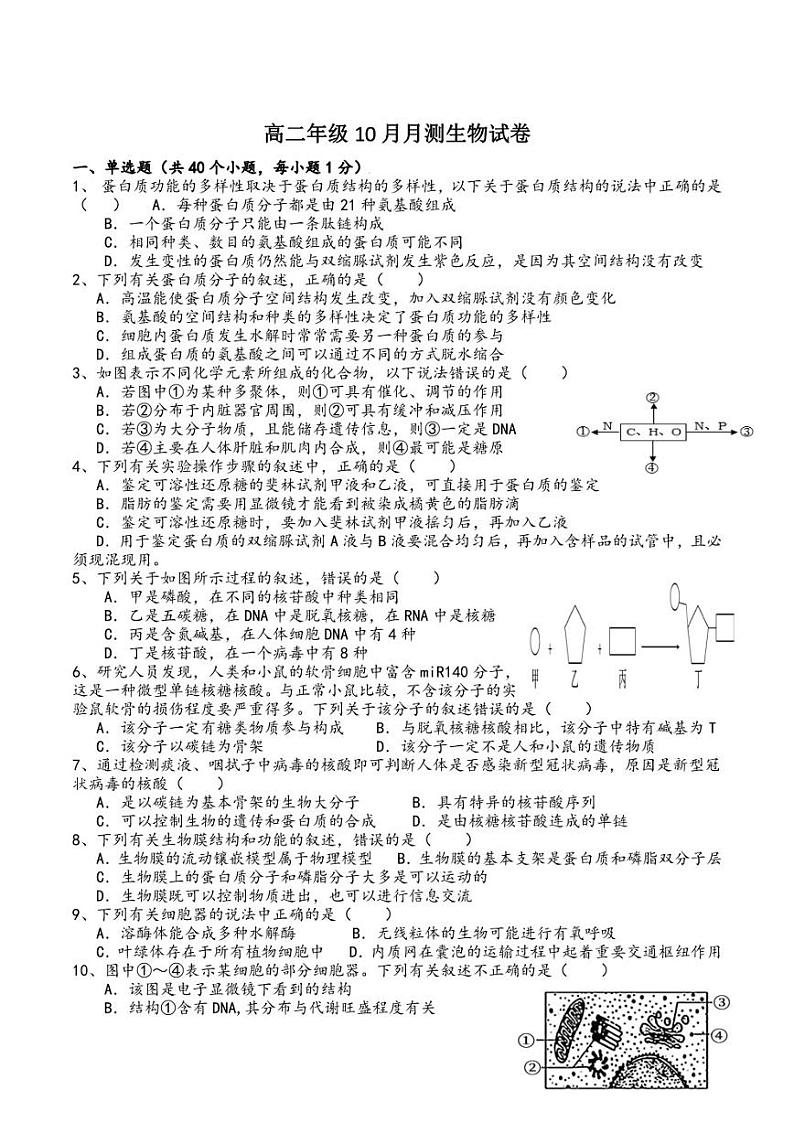 云南省元谋县第一中学2022-2023学年高二上学期10月月测生物试卷（无答案）01