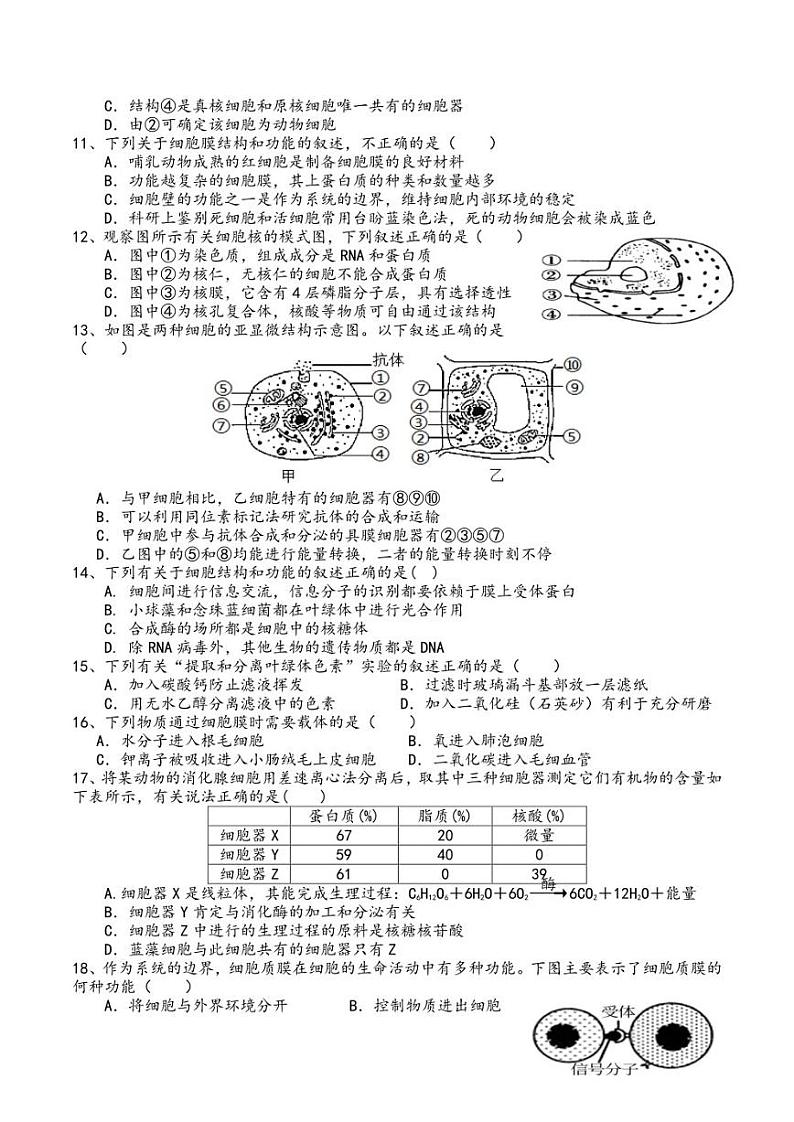 云南省元谋县第一中学2022-2023学年高二上学期10月月测生物试卷（无答案）02