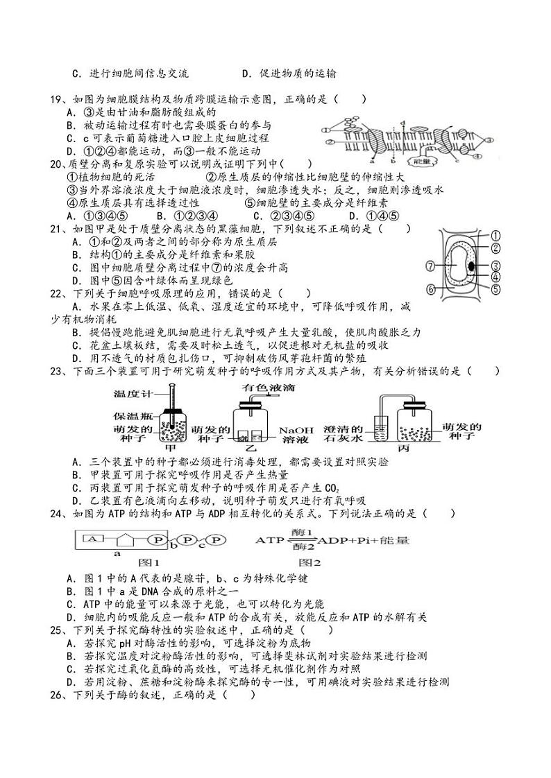 云南省元谋县第一中学2022-2023学年高二上学期10月月测生物试卷（无答案）03