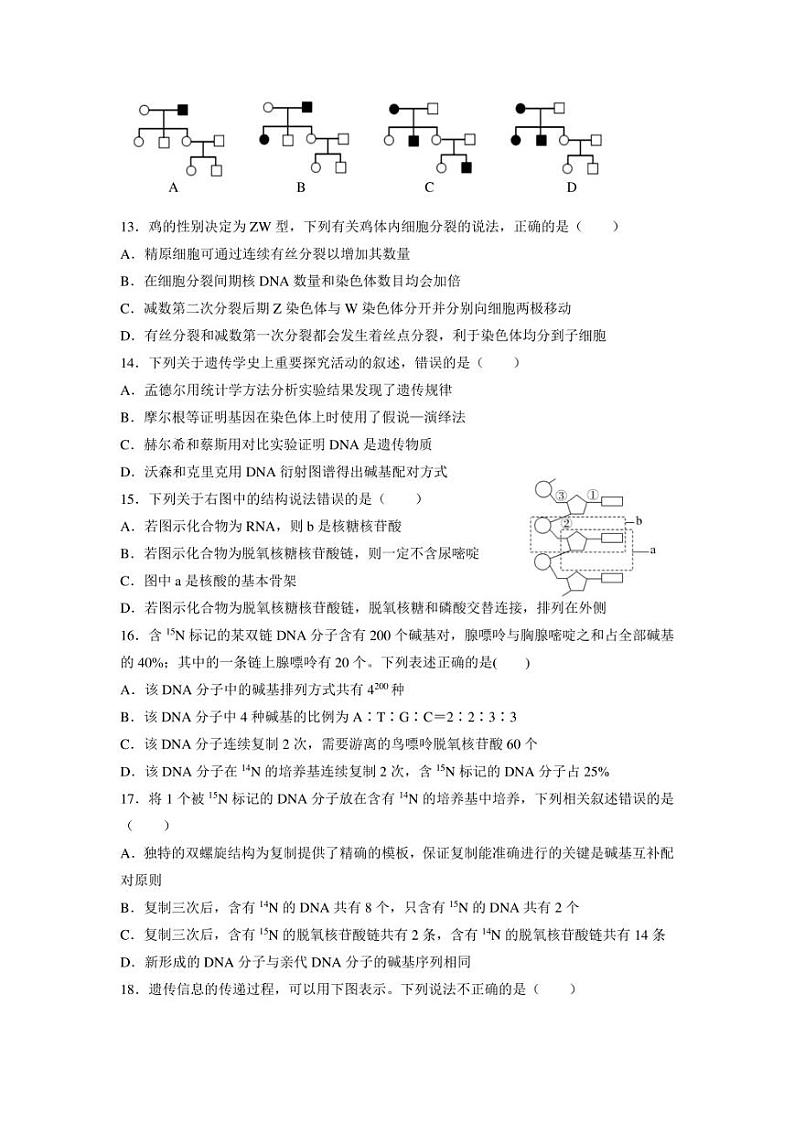 西安市长安区第一中学2022-2023学年高二上学期期末考试生物（理）试卷第3页