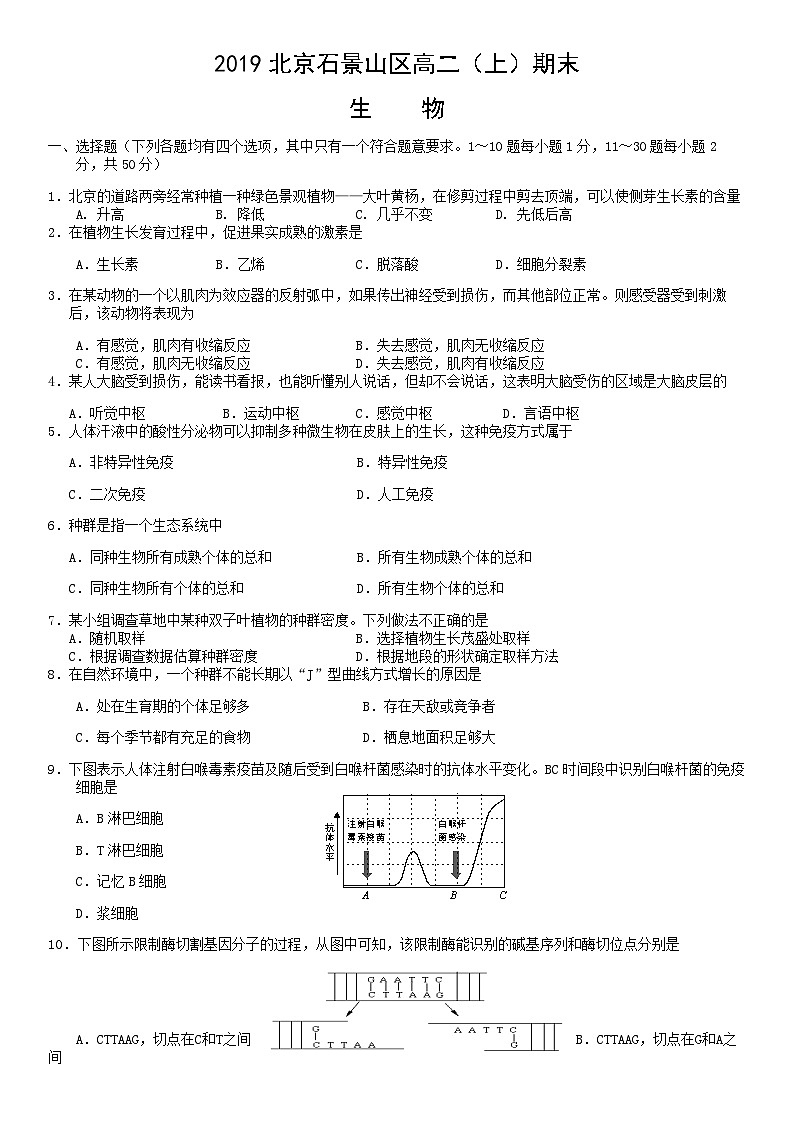 2019北京石景山区高二（上）期末生物含答案第1页