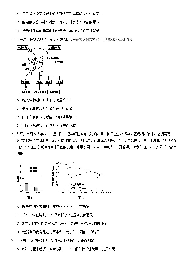 2021北京西城高二（上）期末生物（教师版） 试卷02