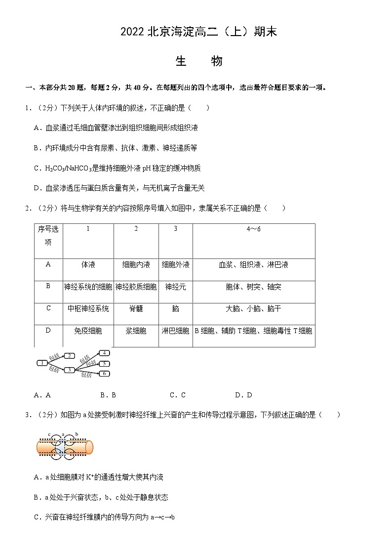 2022北京海淀高二（上）期末生物（教师版） 试卷01