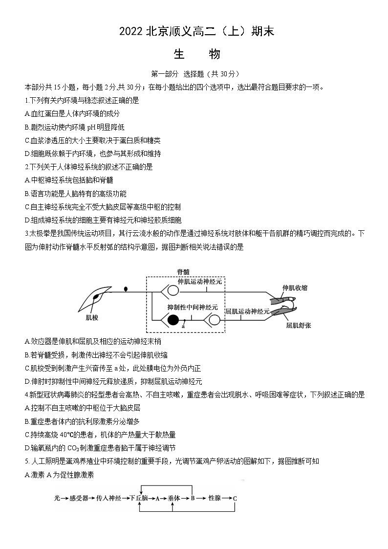 2022北京顺义高二（上）期末生物（教师版）第1页