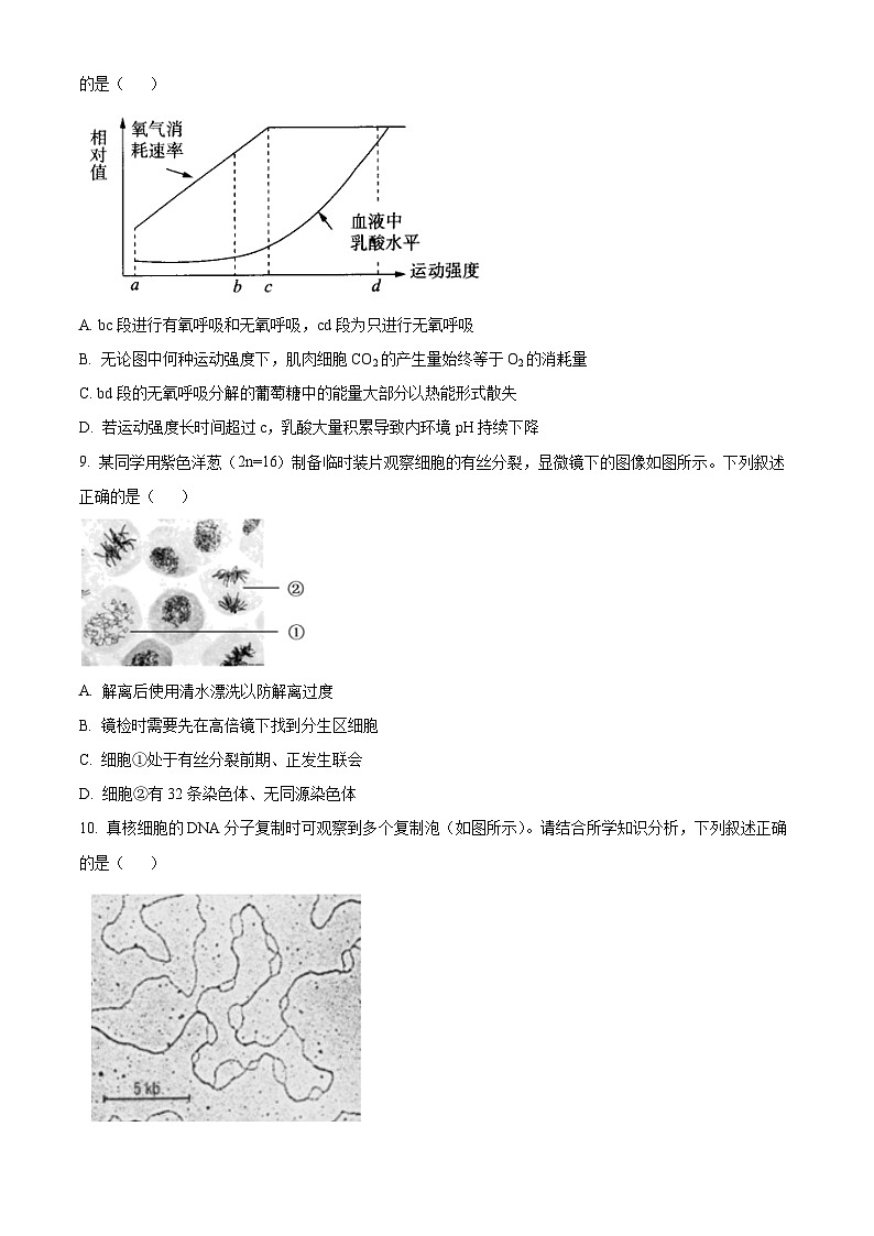 2023北京清华附中高二（上）期末生物（教师版） 试卷03