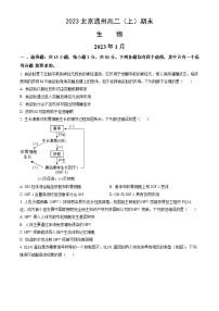 2023北京通州高二（上）期末生物（教师版）