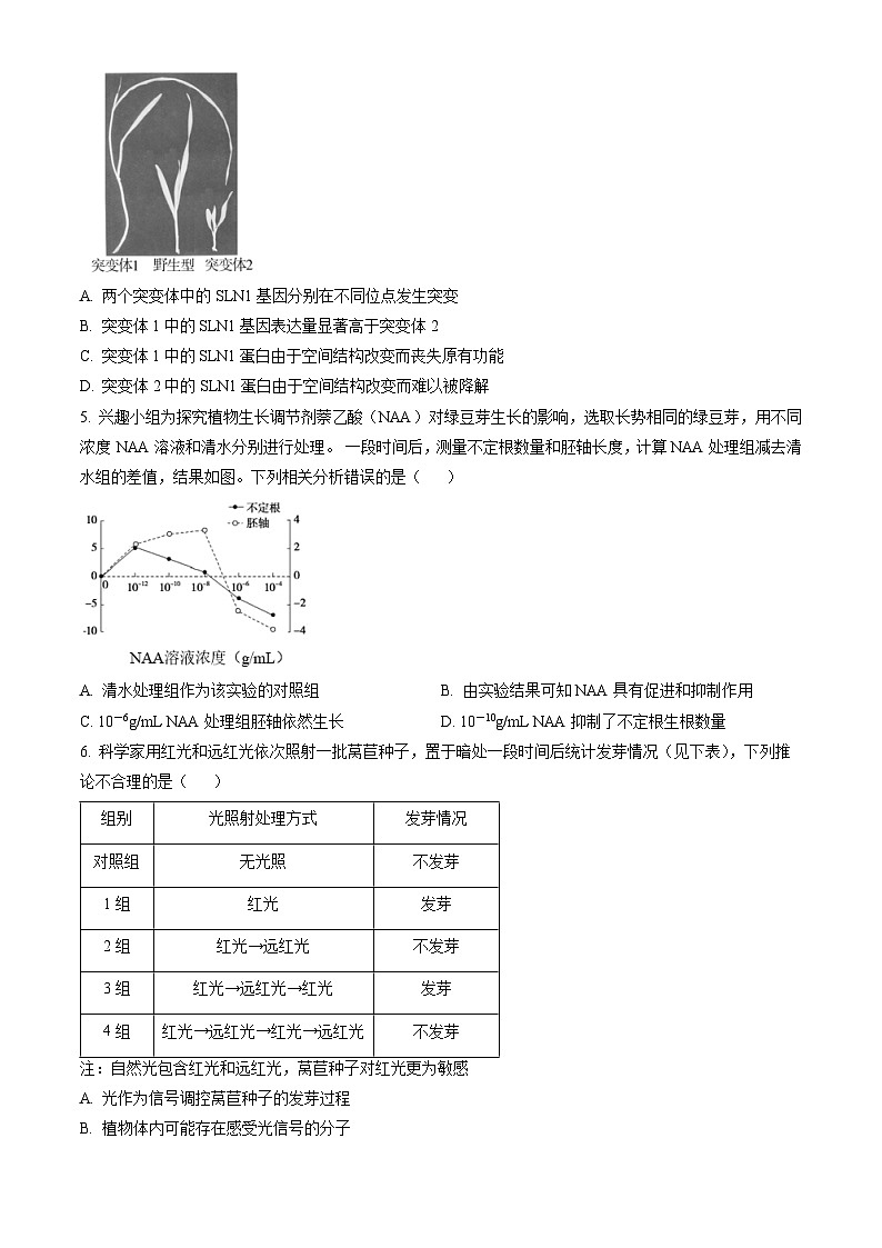 2023北京通州高二（上）期末生物（教师版） 试卷02