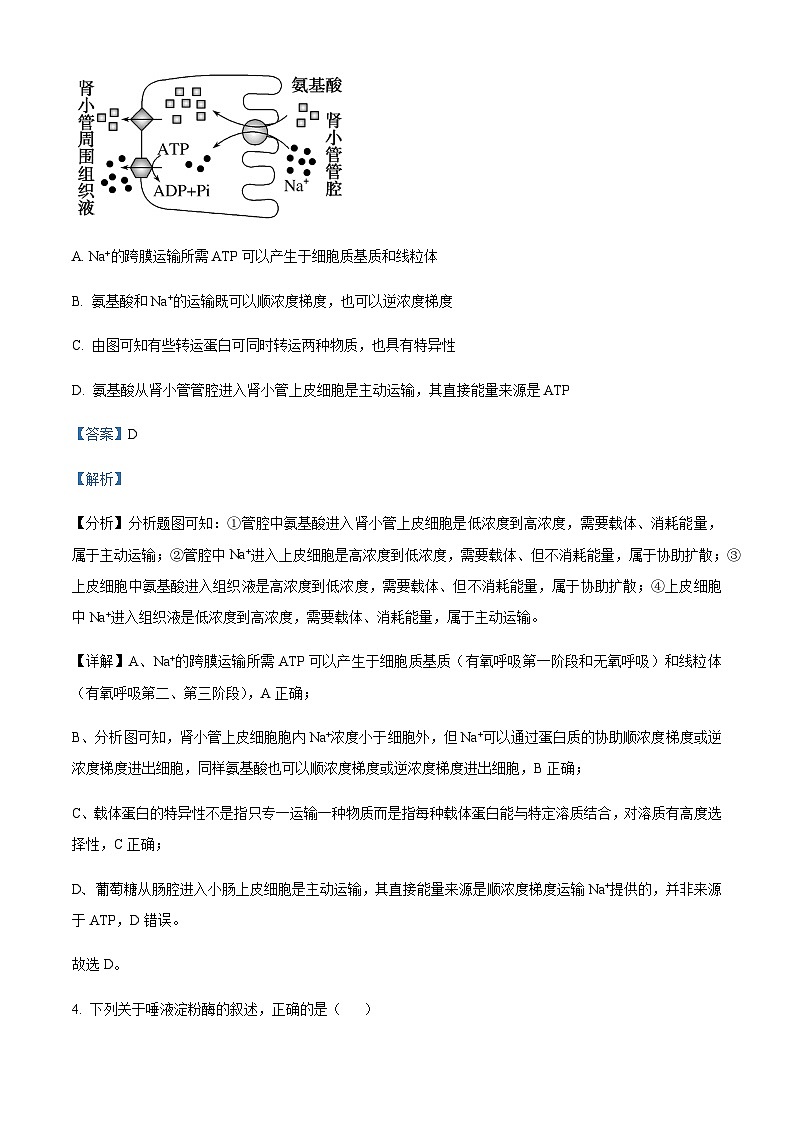 2022-2023学年安徽省示范高中培优联盟高一春季联赛生物试题含解析03