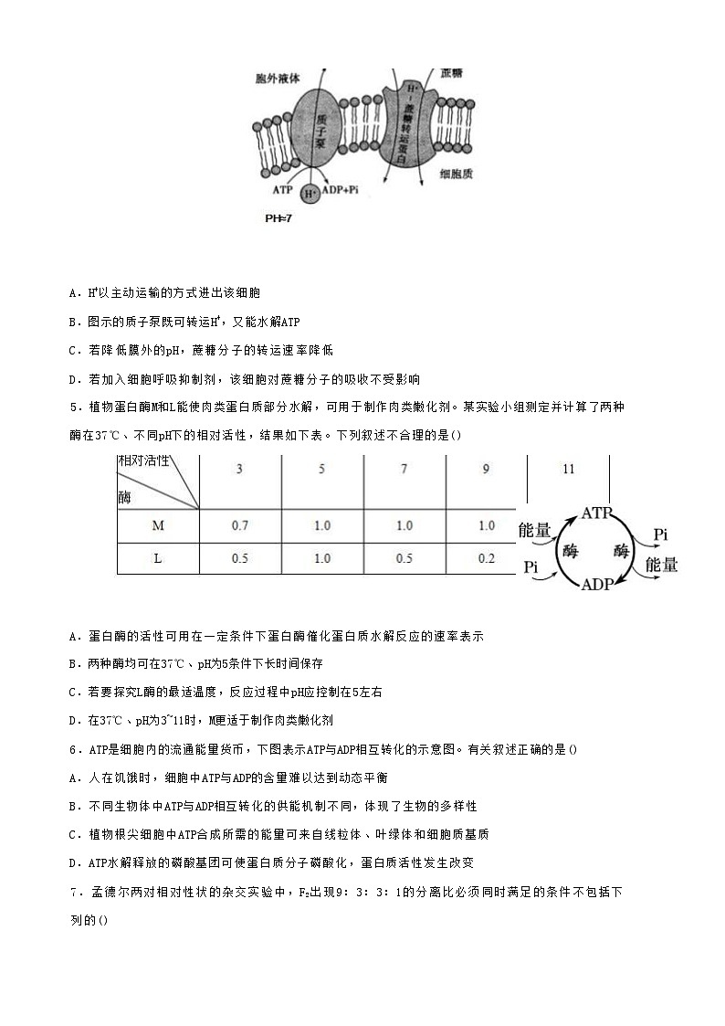 2022-2023学年湖北省云学新高考联盟高一下学期5月联考试题生物试题含答案02