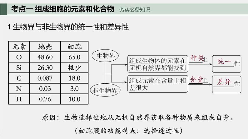 2024届高三生物一轮复习课件细胞中的元素和无机物+细胞中的糖类和脂质03