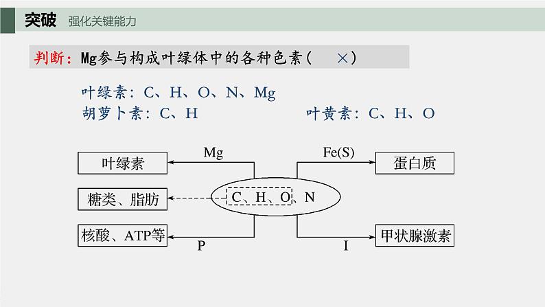 2024届高三生物一轮复习课件细胞中的元素和无机物+细胞中的糖类和脂质08