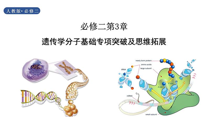 2023届高三生物二轮复习课件遗传学的分子基础第1页