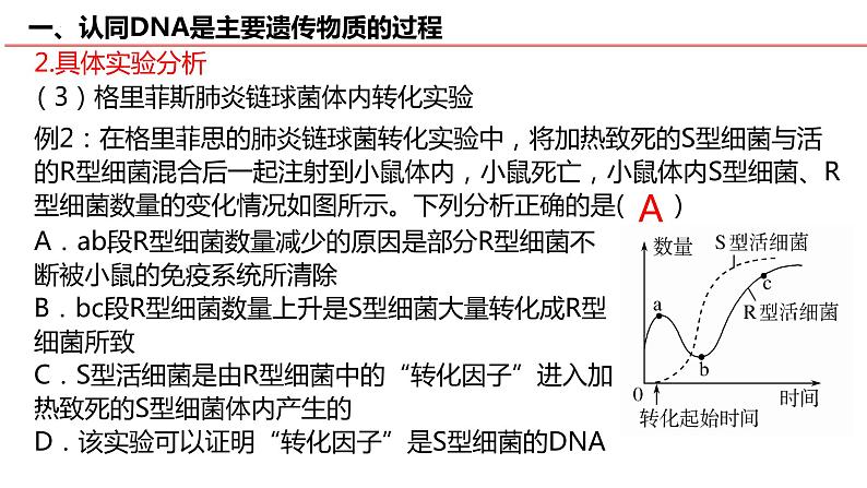 2023届高三生物二轮复习课件遗传学的分子基础第8页