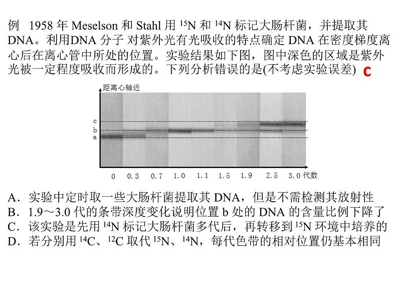 2023届高三生物一轮复习课件：DNA复制、转录、翻译 课件05