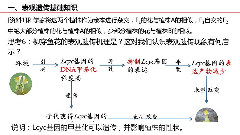 2023届高三生物一轮复习课件：表观遗传 专题第7页