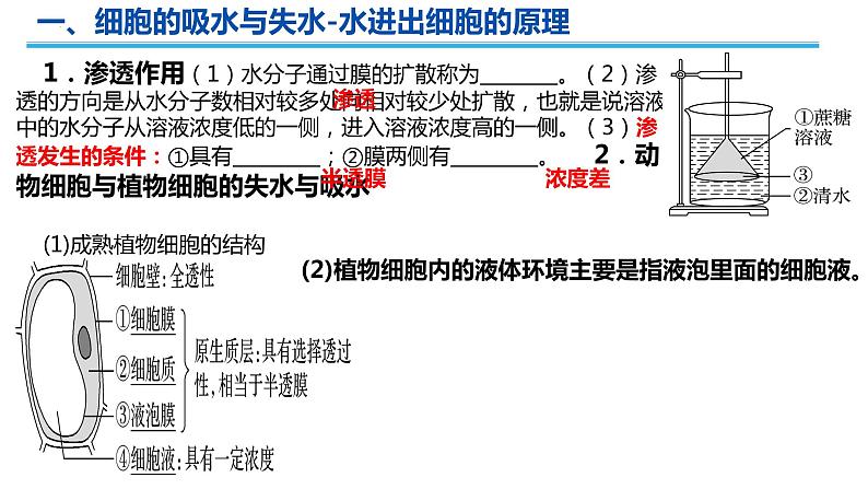 2023届高三生物一轮复习课件细胞的物质输入与输出第2页