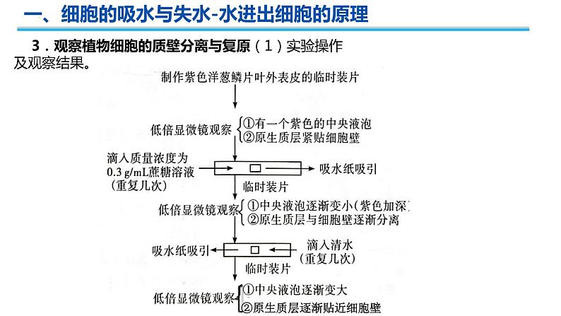 2023届高三生物一轮复习课件细胞的物质输入与输出第4页