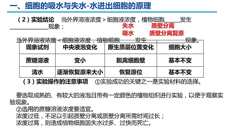 2023届高三生物一轮复习课件细胞的物质输入与输出第5页