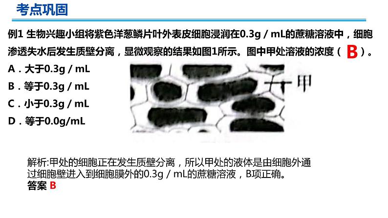 2023届高三生物一轮复习课件细胞的物质输入与输出第6页