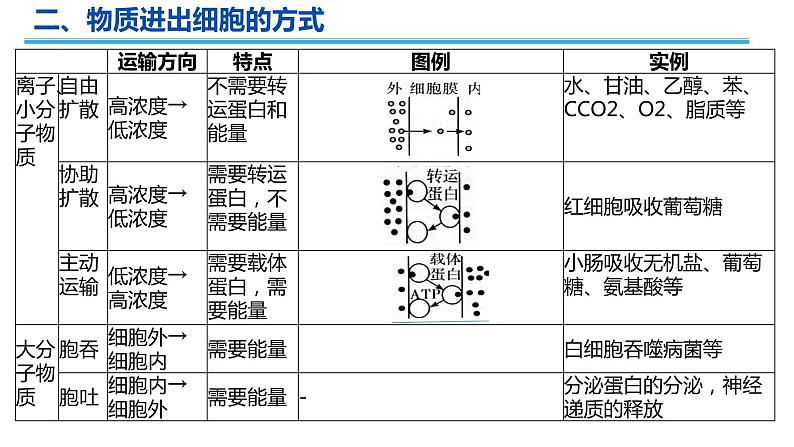 2023届高三生物一轮复习课件细胞的物质输入与输出第8页