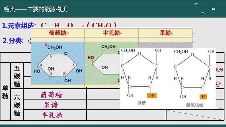 2024届高三生物一轮复习课件 细胞中的无机物、糖类和脂质(第二课时)第3页